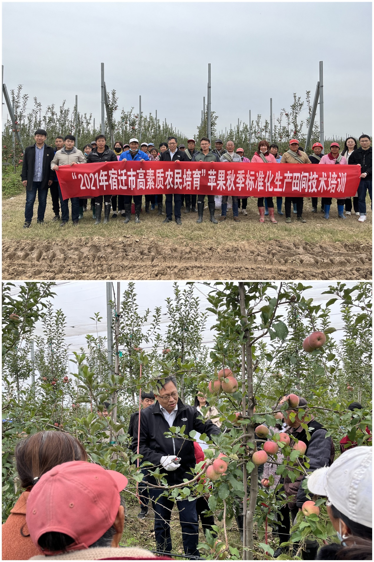 我院顺利举办2021年高素质农民培育苹果秋季标准化生产管理培训会